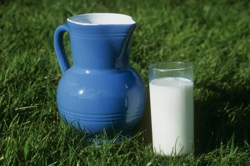 Почему молоко горчит и можно ли его использовать