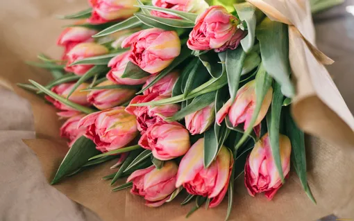 Что можно сделать, чтобы тюльпаны долго стояли в вазе: основные правила