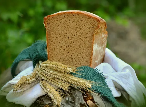 Хлеб как удобрение для растений