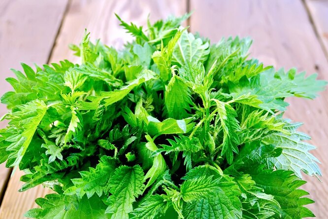 ���� ������� ������, � ������� � ��������: ������ ���������� ������ ������������