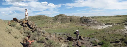 Палеонтологи обнаружили останки нового вида динозавров в Монтане (США)
