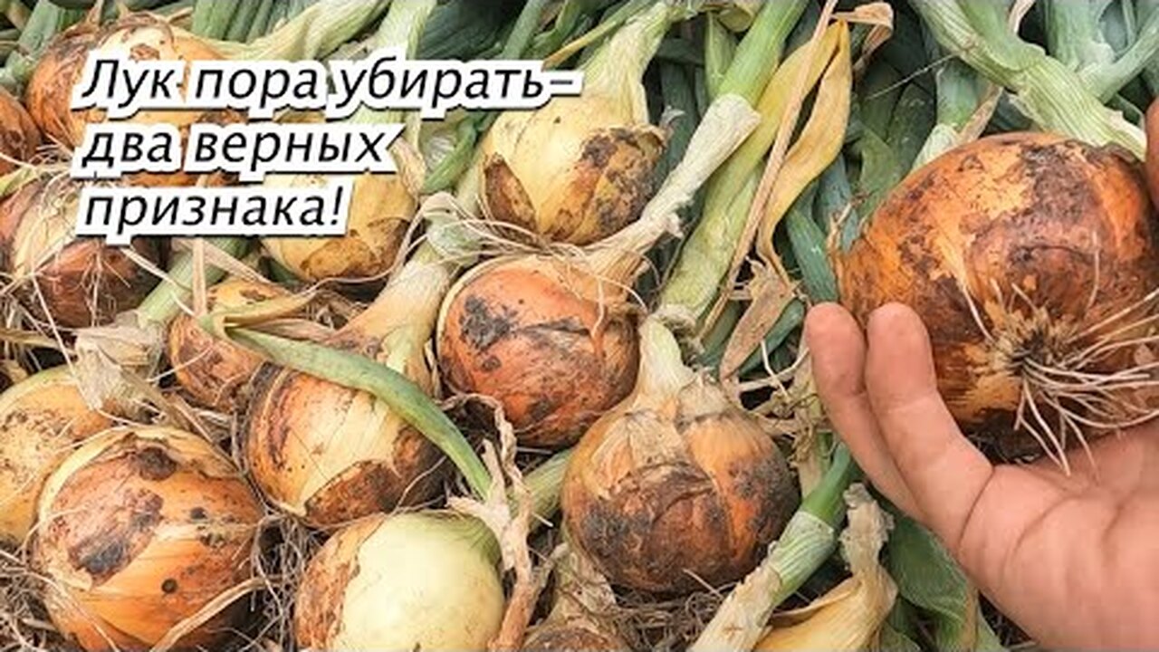 Klikněte a uvidíte
