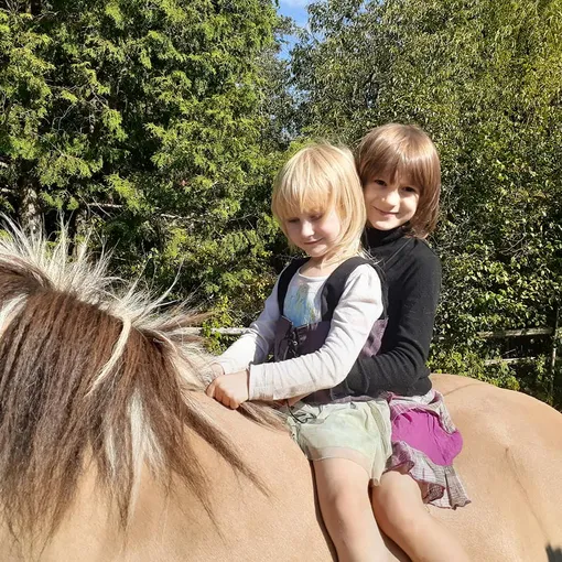 девочки на лошади