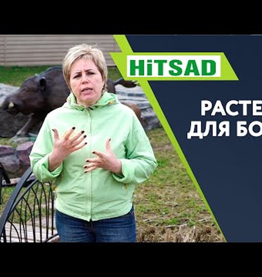 Klikněte a uvidíte