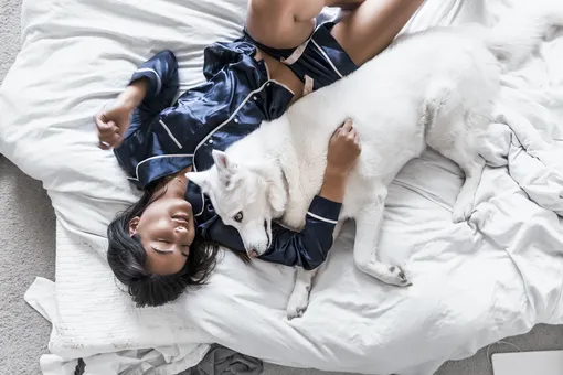 собака, девушка, пижама, собака в постели