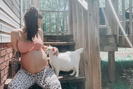 Беременная женщина подобрала кошку в положении — и родила с ней в один день