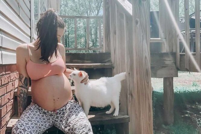 Беременная женщина подобрала кошку в положении — и родила с ней в один день Беременная женщина подобрала кошку в положении — и родила с ней в один день