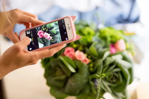 Как фотографировать растения дома на смартфон: ваши красивые фото для соцсетей
