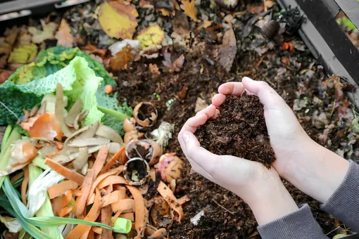 Что делать если компост неприятно пахнет