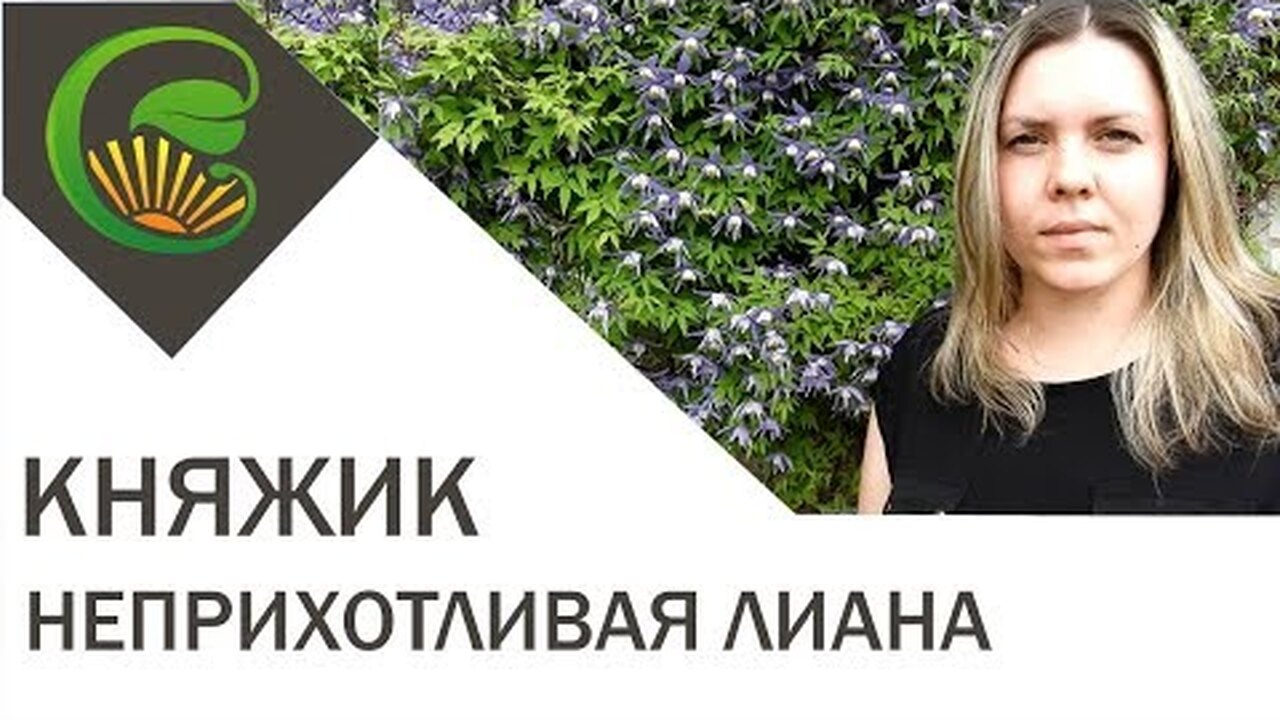 Klikněte a uvidíte