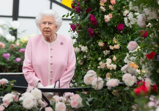 Королева Елизавета очень любила розы.