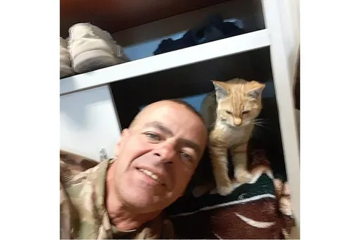 кошка салли, солдат и котенок
