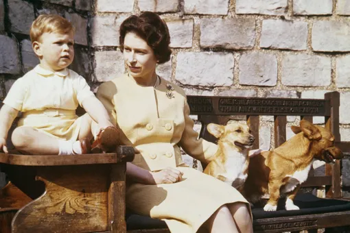 Кто теперь будет заботиться о любимых собаках королевы Елизаветы?