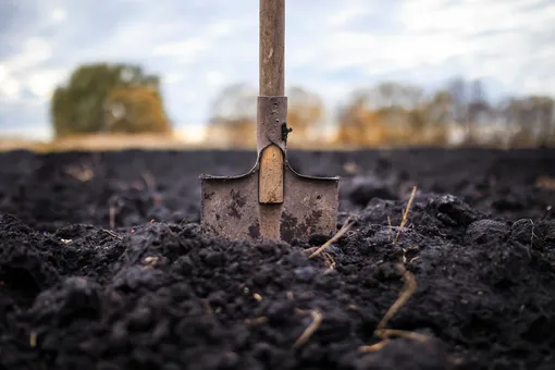 Перекопайте и внесите удобрения в почву: как правильно подготовить грядки к зиме