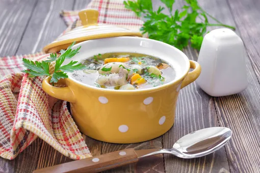 Какой суп сварить дома, лучшие рецепты супов: 25 домашних рецептов на каждый день с фото