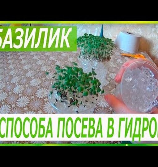 Нажми и смотри