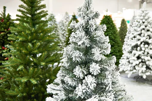 Жительница Миссури коллекционирует рождественские елки. Их уже больше 400