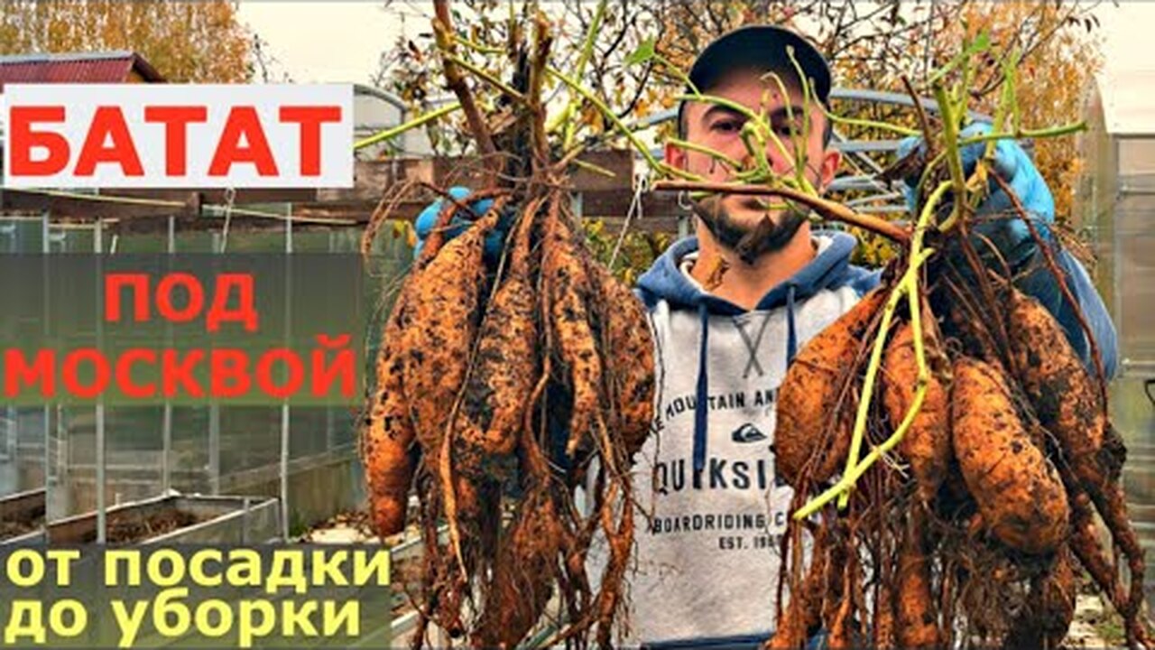 Klikněte a uvidíte