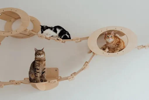Подвесной домик для кошки на стене своими руками