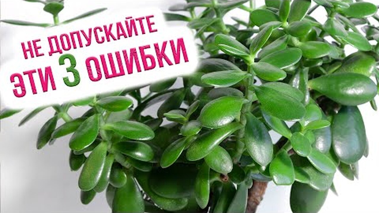Klikněte a uvidíte