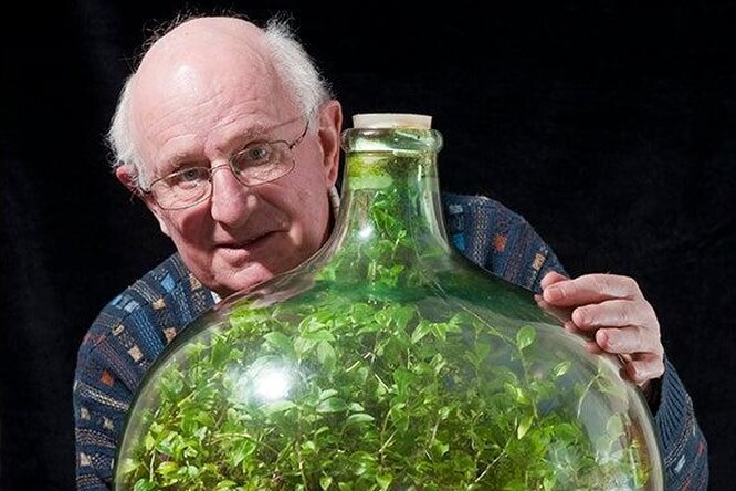 Такое возможно? Мужчина вырастил в бутылке сад, полив его один раз за 50 лет