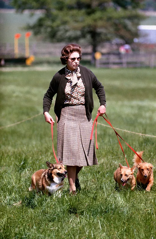 Елизавета II и её собаки