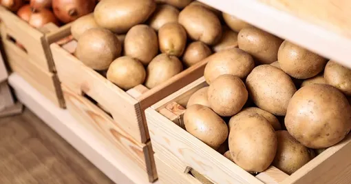 Как правильно хранить картофель, чтобы он не позеленел