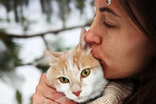 Россиянка спасает кошек на Кипре: непридуманные истории со счастливым концом