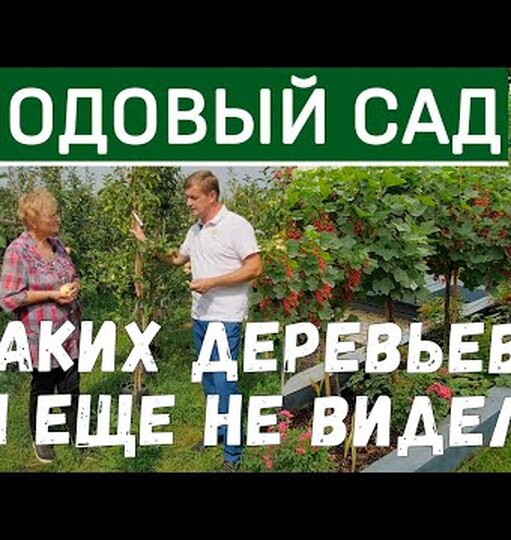 Klikněte a uvidíte