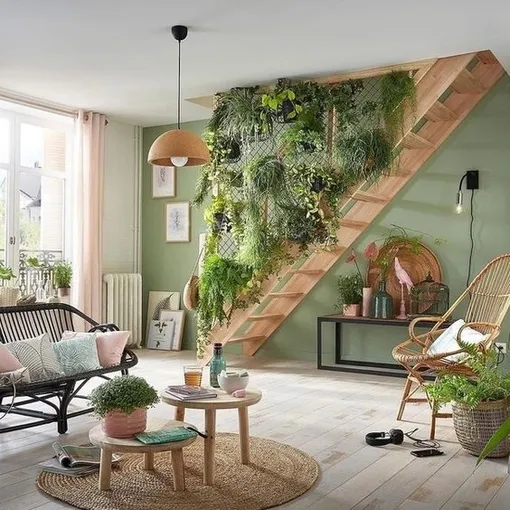 растения на лестнице