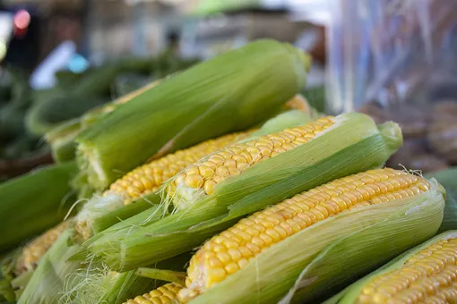 Что приготовить из молодой кукурузы: энчилада, ризотто, салат и многое другое