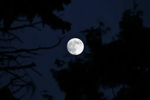 Астрология придаёт большое значение фазам Луны при толковании снов