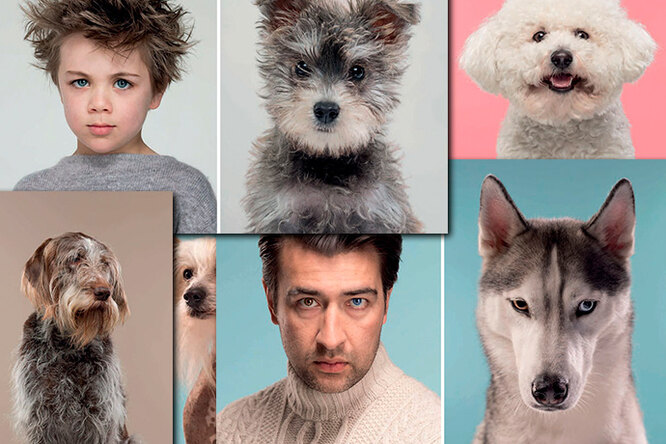 Эти фотографии доказывают: собаки похожи на своих владельцев (ну или наоборот)