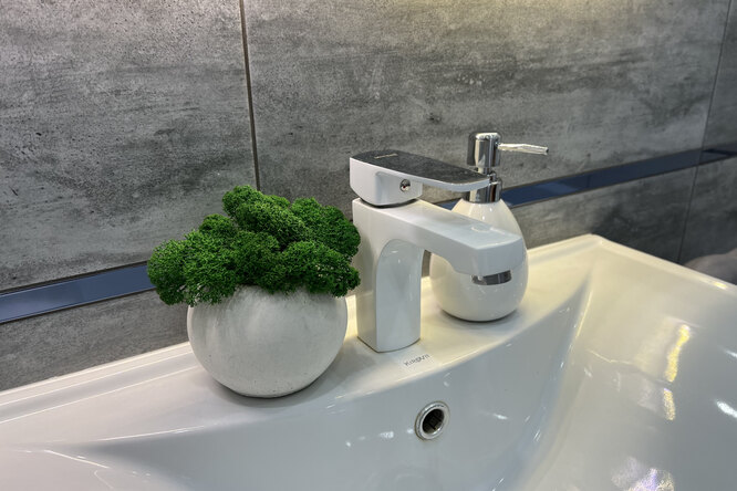 Что делать, если в квартире плесень: лучшие домашние средства против ...