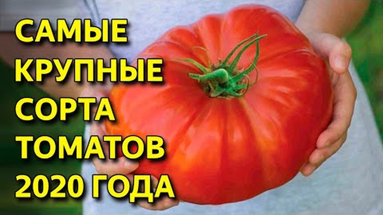 Klikněte a uvidíte