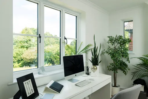 10 растений, которые необходимо завести дома и в офисе