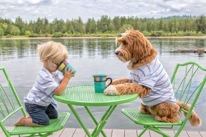 «Я и мой друг лабрадудль». Дружба маленького мальчика с собакой ляжет в основу книги
