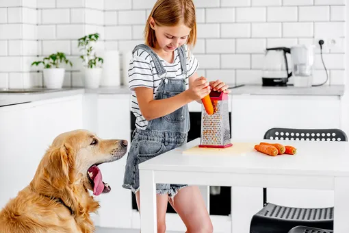 Собака и девочка на кухне