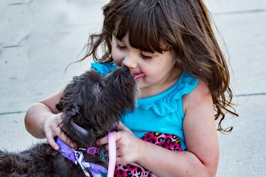 Нашла правильные слова: двухлетняя девочка утешает одинокую собаку