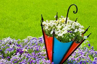 8 ошибок при создании цветников на даче: на заметку садоводам