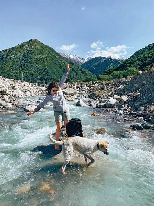В путешествиях собаки любят горные реки: можно и попить, и охладиться в жару. Казахстан, окрестности Алматы