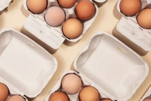 Не выбрасывайте картонные лотки из-под яиц: 5 способов использовать упаковку