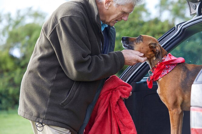 Пожилой мужчина вытирает лапы собаке