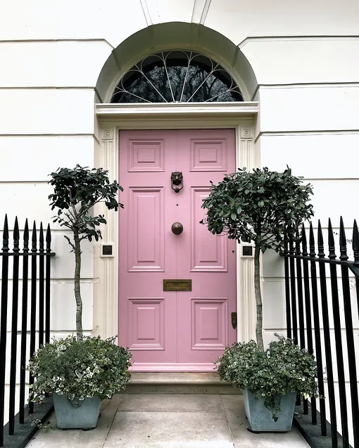 Розовая входная дверь фото