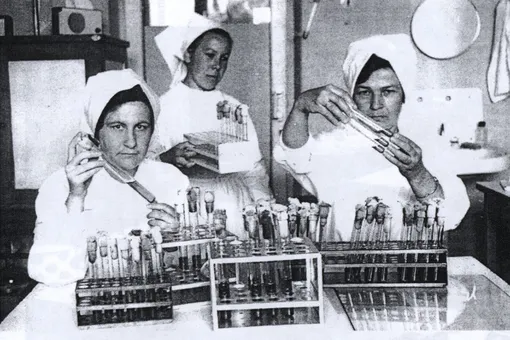 Ученые в советском противочумном центре в конце 1950-х годов