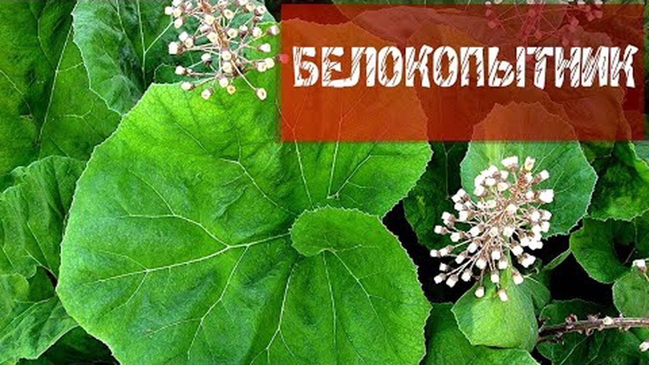 Klikněte a uvidíte