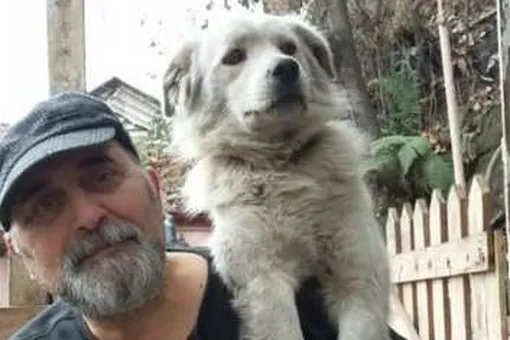Мужчина случайно нашел давно пропавшую собаку — и с трудом узнал
