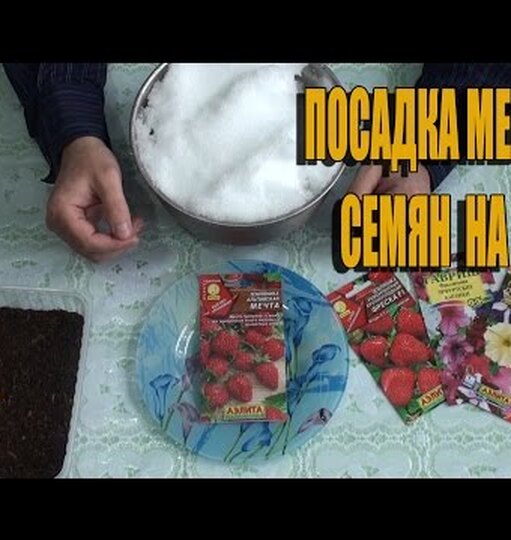 Нажми и смотри