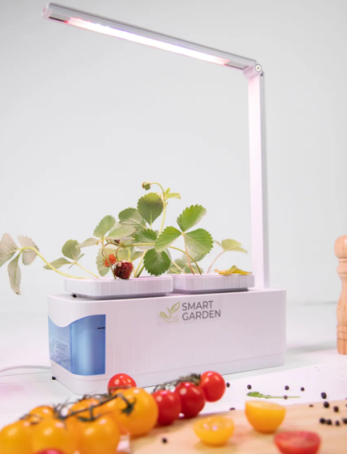 Ozon, умный сад с фитолампой для растений и системой полива Smart Garden, 5 972 руб.