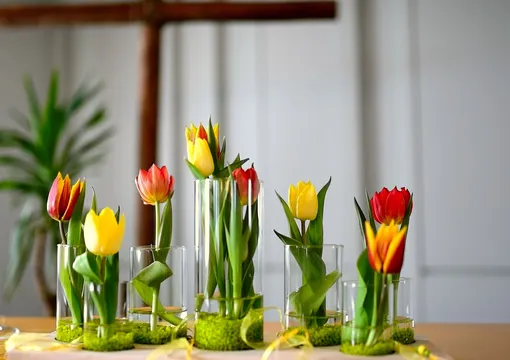Что продлит свежесть срезанных тюльпанов